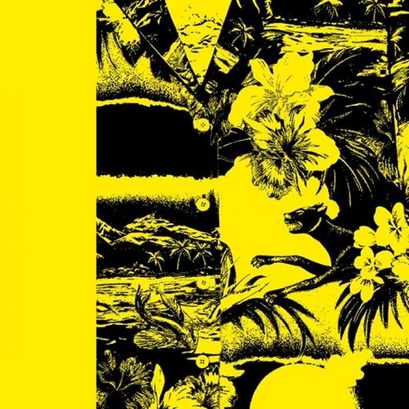 Suzi Silva - Beautiful Places image